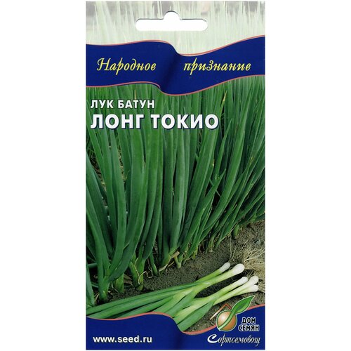 ���� ��� ����� ���� �����, 80 �����, ������ �� 249 ���