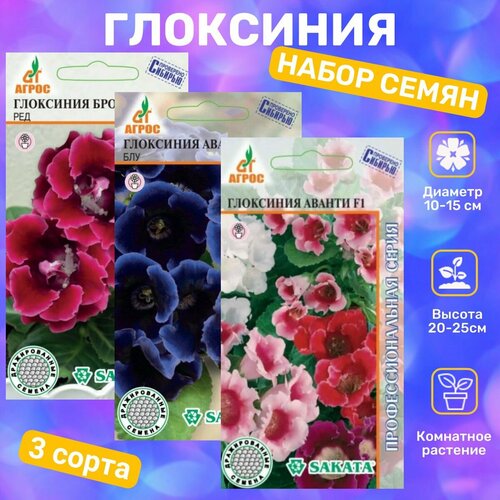 ���� ������ ��������� ������� F1, ������ F1, ������ �� 376 ���