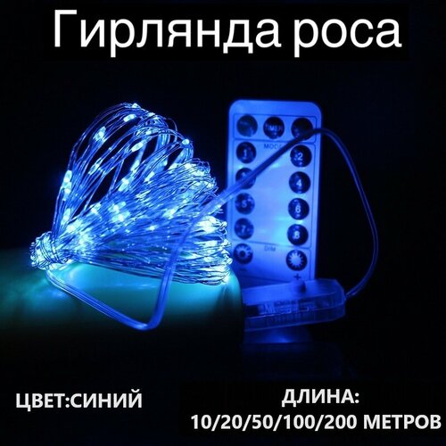 ���� �������� ����������� 