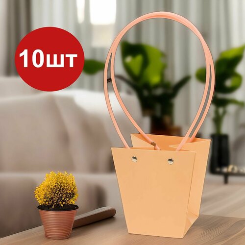 ���� ����� ��� ������ �������������� ����� ����� ����� 10�� 12x8xH12,5 ��, ������ �� 656 ���