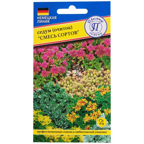 ���� �����������: ����� ������ ����� ������, ������ �� 289 ���