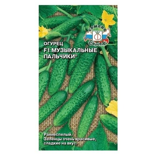 ���� ������ ����� ������ ����������� �������� F1, ������ �� 89 ���