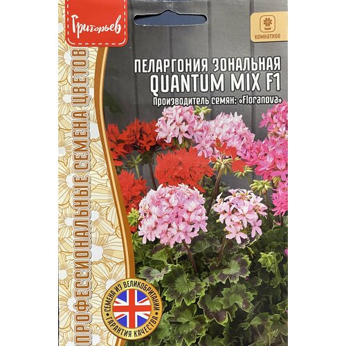 ���� ������ ���������� ��������� 