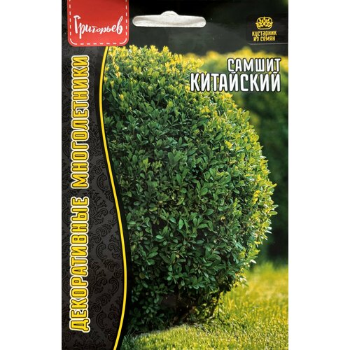 ���� ������ ������� ���������� (10 �����), ������ �� 260 ���