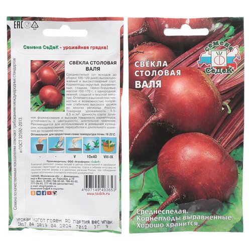 ���� ������ ������ ��������, ����, 3 �, ������� ��������, �����, ������ �� 45 ���