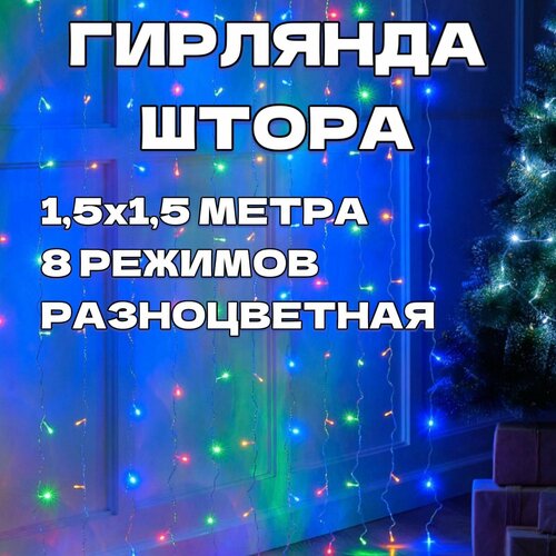 ���� �������� ����� 