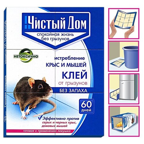 ���� ������� �������- ���� �� �������� - ������ ��� 40 ��., ������ �� 762 ���