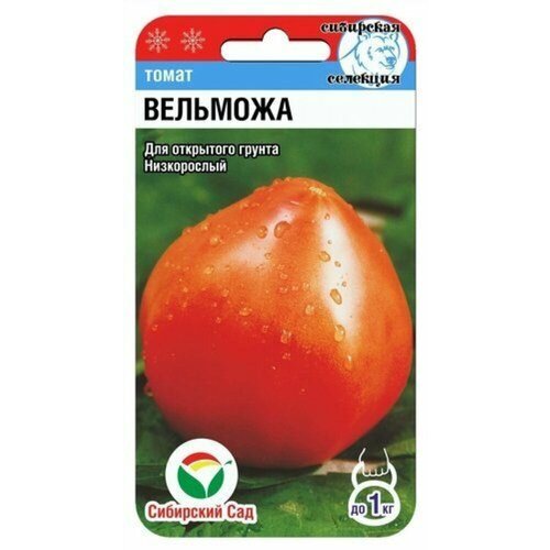 ���� ������ ����� �������� (���������) 20�� ��� (��������� ���), ������ �� 61 ���