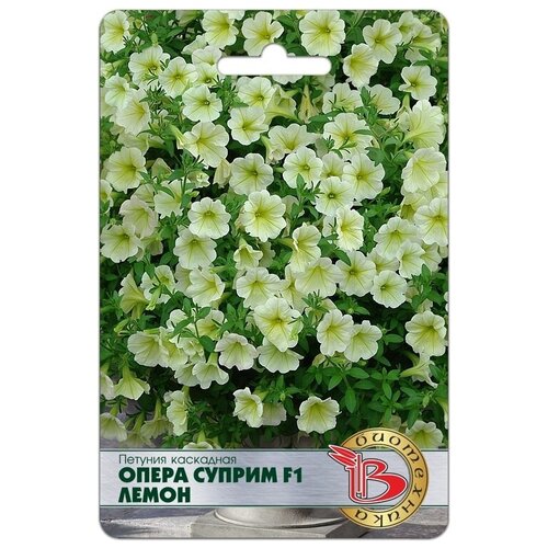 ���� ������ ������� ��������� 