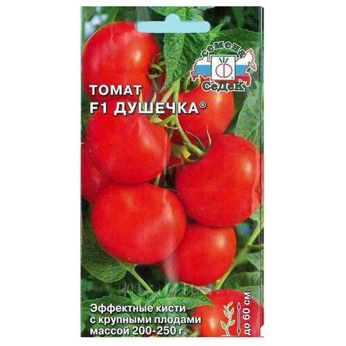 ���� ������ ����� 