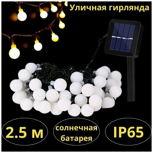 ���� ������������ �������� 