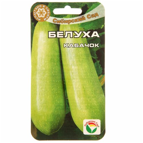 ���� ������ ������� 