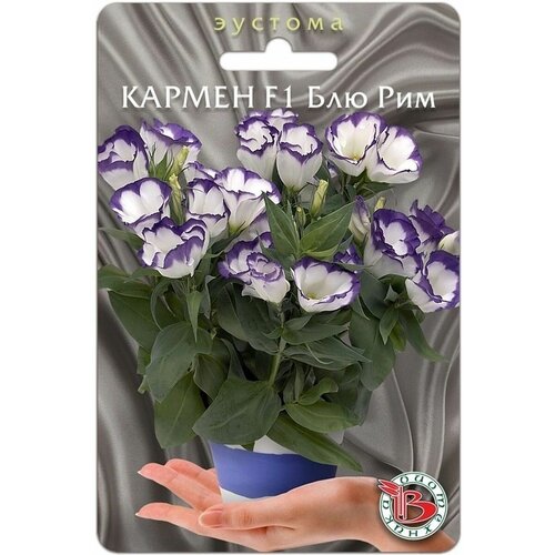 ���� ������ ������� (���������) ��������� 