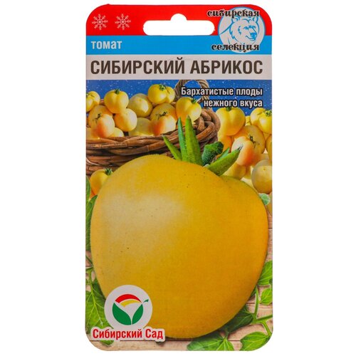 ���� ��������� ������� 20�� ����� (��� ���), ������ �� 260 ���