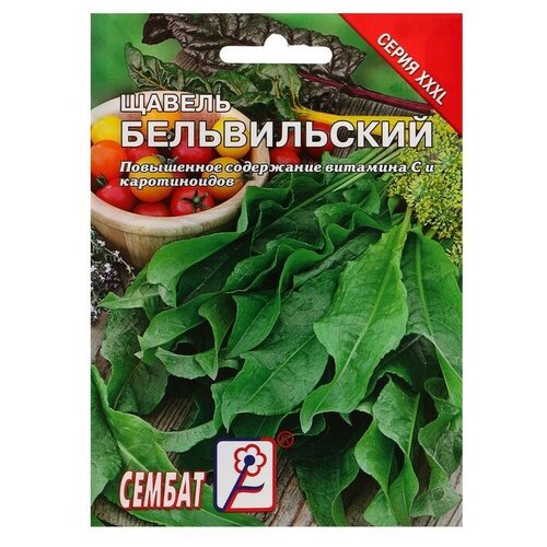 ���� ������ ���L ������ 