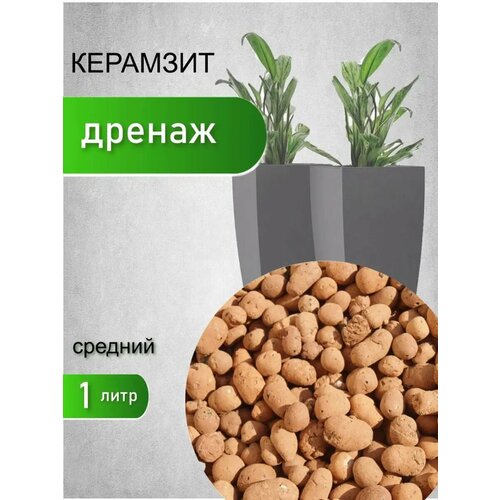 ���� �������� ��� �������� � ������ 1 �, ������ �� 283 ���