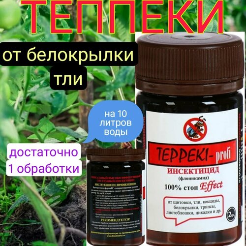 ���� ���������� ������������� 