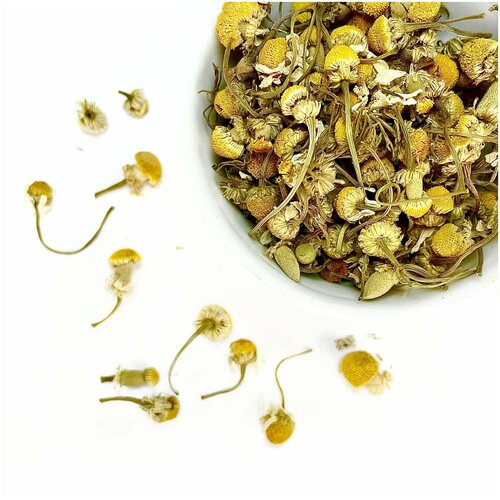 ���� ����� ����� ������� (��������, �������, ������������, ���������, �������), �����, 250 ��, ������ �� 1427 ���