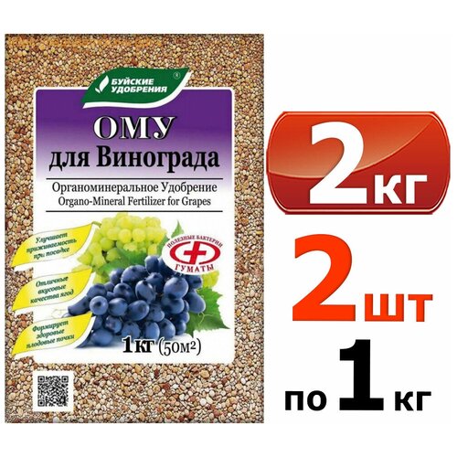 ���� ��� 