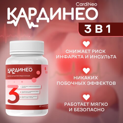 ���� �������� ��� �������� ������ � ������� ��������, 1 ��, 60 ������, ������ �� 590 ���