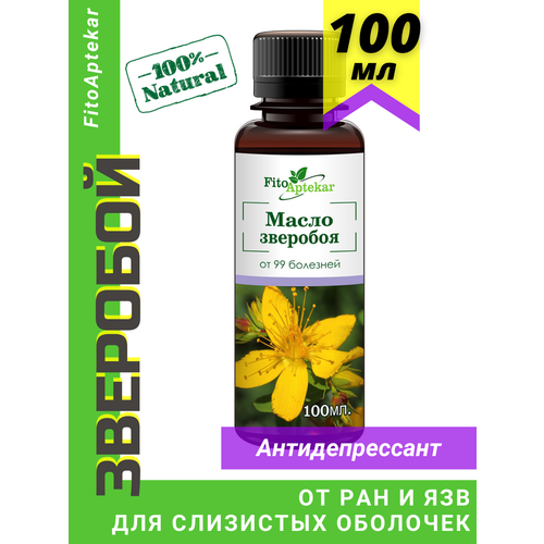 ���� ����� �������� 