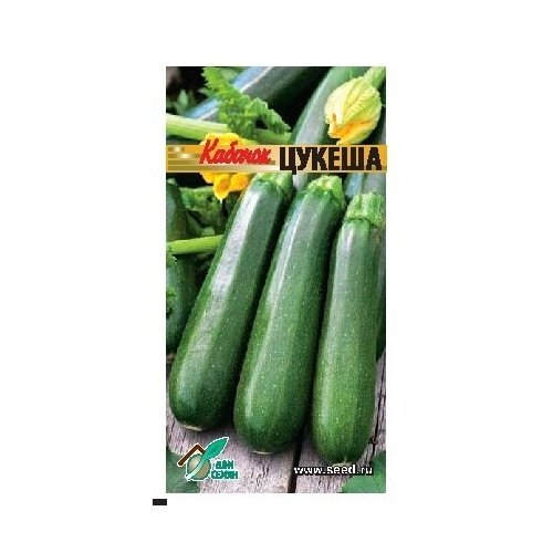 ���� ������� ������, 12 �����, ������ �� 37 ���