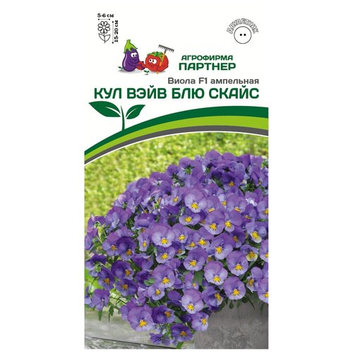 ���� ������ ����� ��������� 