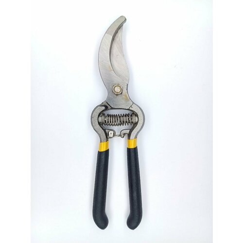 ���� ������� ������� ����������������, ������� ���� �� 25 ��, ��������, �������� ��� �������� � ������, ������ �� 359 ���