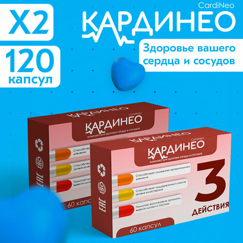 ���� �������� ��� �������� ������ � ������� ��������, 2 ��, 120 ������, ������ �� 1270 ���