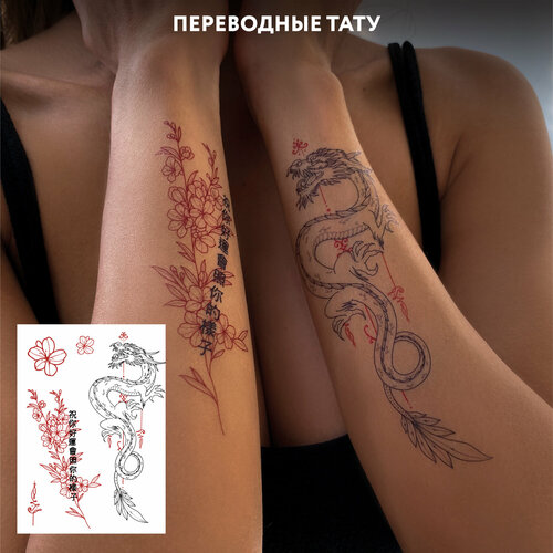 ���� MIAMITATS ���������� ���� Luck (middle), ������ �� 378 ���