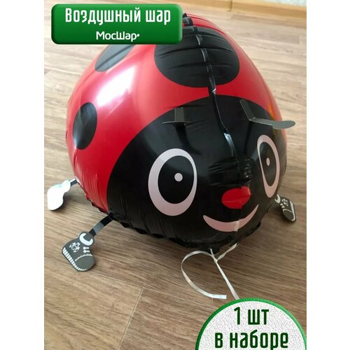 ���� ��������� ��� ������� ������ ����� �������, ������ �� 328 ���