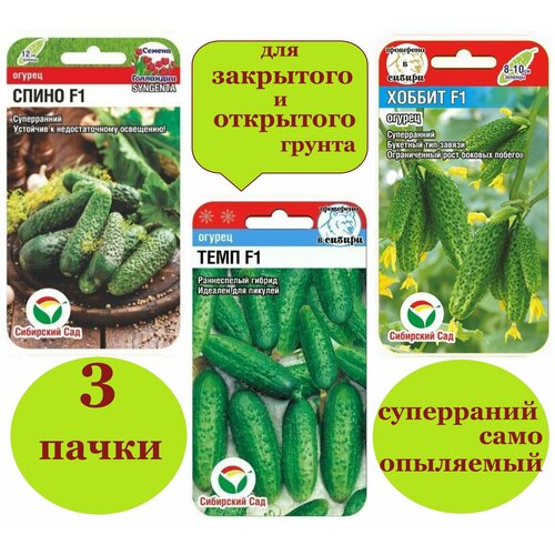 ���� ����� ����� ������� �����+������+������ (3 �����), ������ �� 655 ���