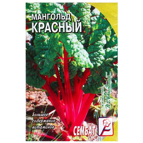 ���� ������ �������� 