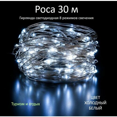 ���� �������� ���� 30 �, �����, ������ �� 599 ���