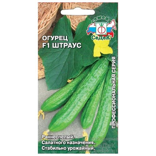 ���� ������ ������ 