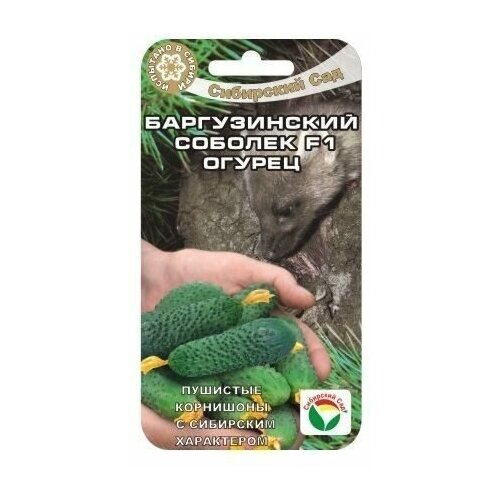 ���� ������������ ������� F1 7�� ������ (��� ���), ������ �� 135 ���