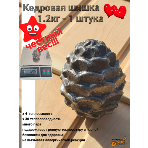 ���� ����� ��������, ������ �� 550 ���