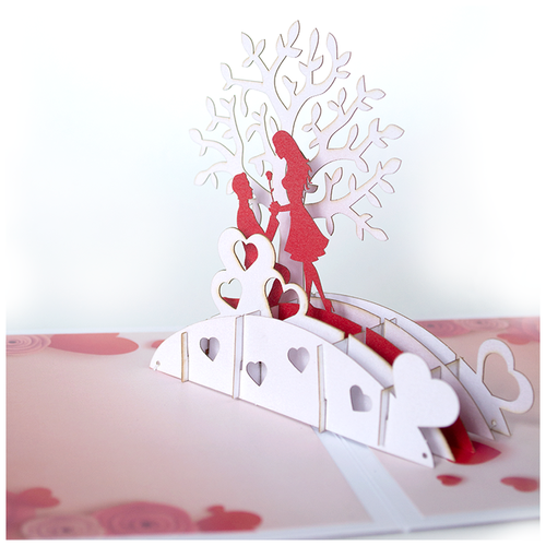 ���� �������� 3D �������� ����������� ����, ������ �� 900 ���