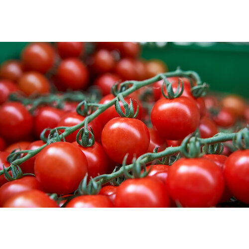 ���� ������������� ������ ������ ��������, ������ �� 127 ���