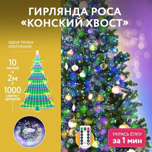 ���� �������� ������������ ���� 