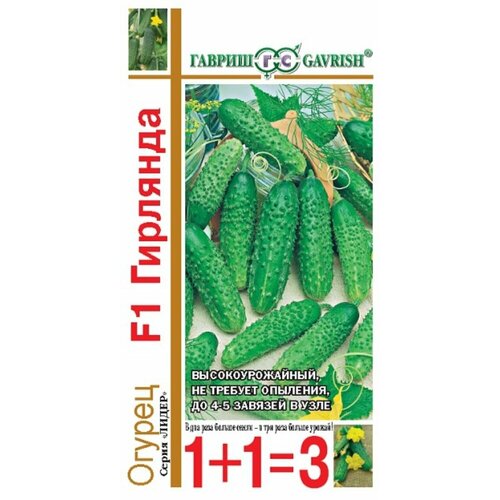 ���� ������ ������ �������� F1 20�� ������������������ ������ (������) 1+1, ������ �� 101 ���