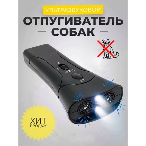 ���� �������������� ������������ �����, ������, ������ �� 590 ���