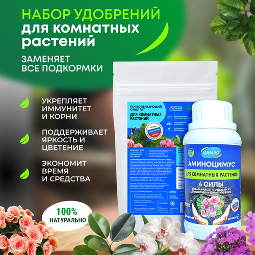 ���� ����� + ���������� ��������� ��� ��������� �������� � ������ ����� 250 � + 250 ��, ������ �� 1299 ���