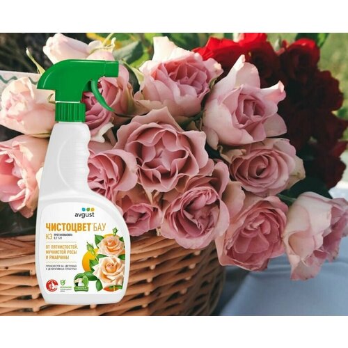 ���� ���������*��� �������� ����������������� � ��������� �������� ��� ������ ��������, 700 ��, ������ �� 738 ���