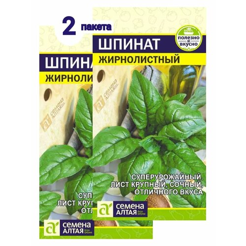 ���� ������ ������ ������������, ������ �� 161 ���