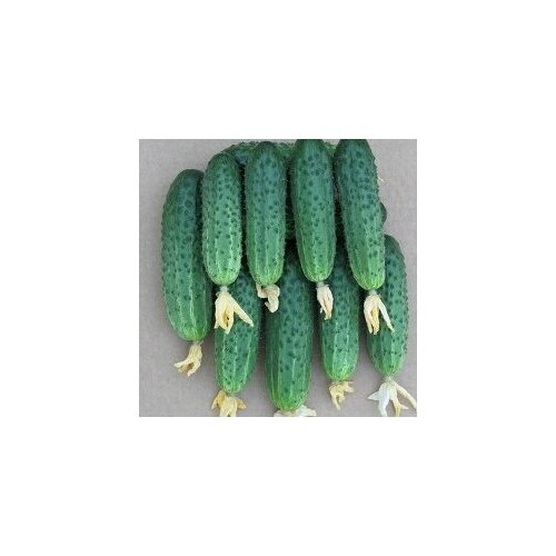     F1 10   (time),   52 