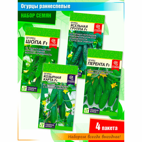    : ,  ,  ,     (4 ),   565 