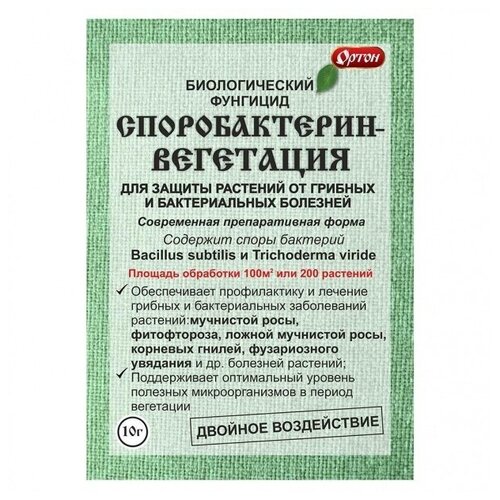 ���� �������������-���������, 10 �, ������ �� 84 ���