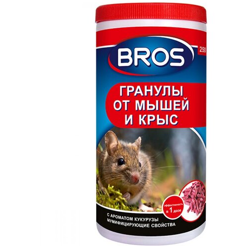 ���� BROS ������� �� ����� � ���� Bros, 250 ��, ������ �� 365 ���