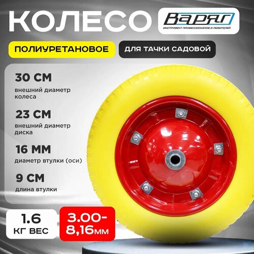 ���� ������ ��� ������� ����� 